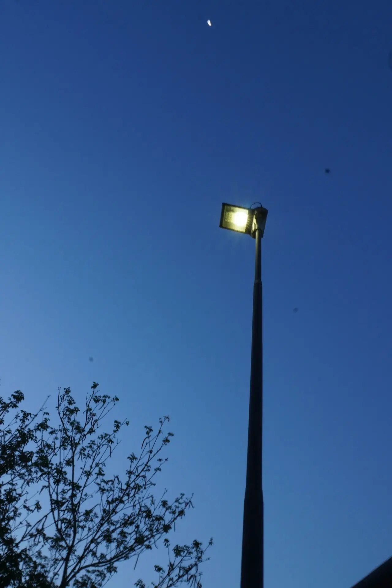 Lamp post