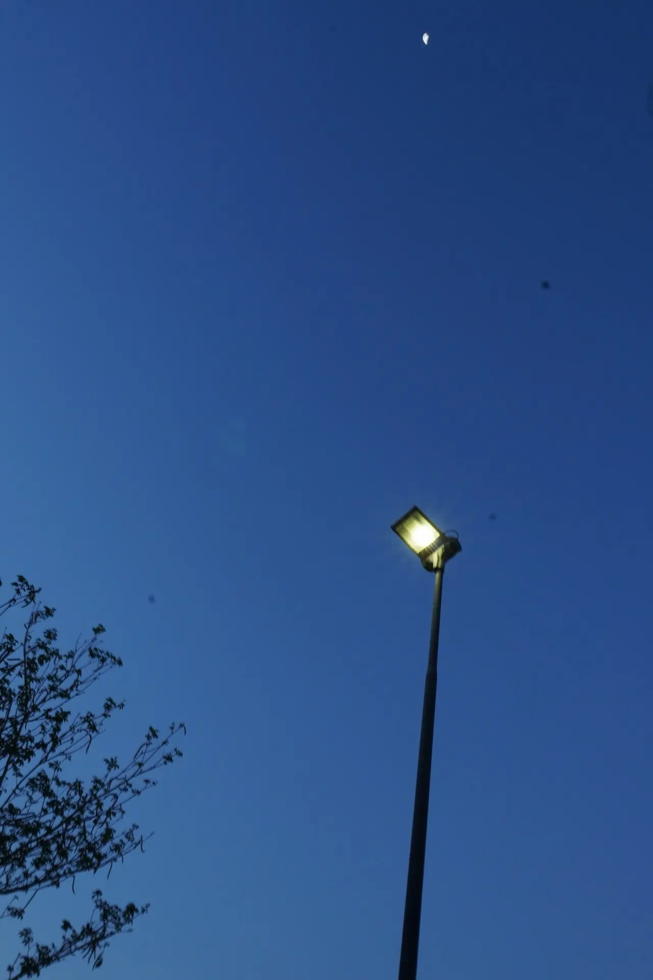 Lamp post